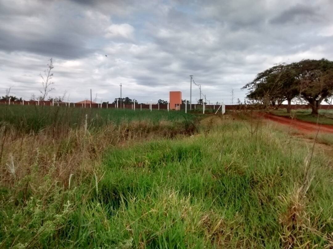 #2263 - Chácara para Venda em Arapongas - PR