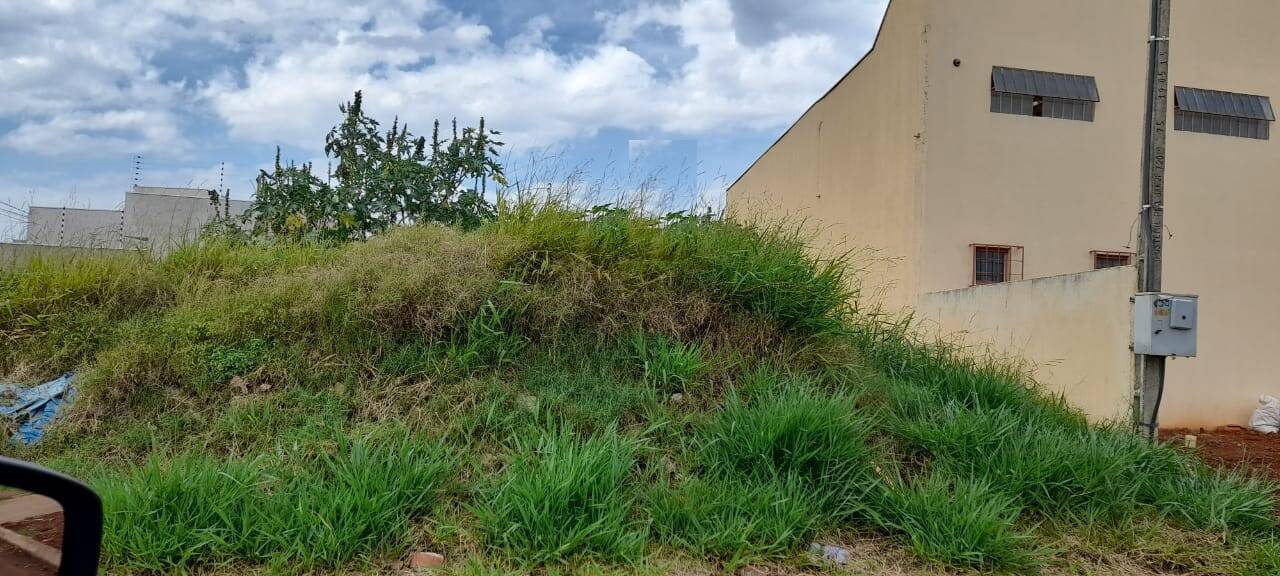 #4372 - Terreno para Venda em Arapongas - PR