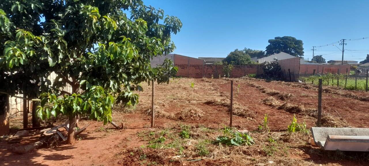 #5336 - Chácara para Venda em Sabáudia - PR