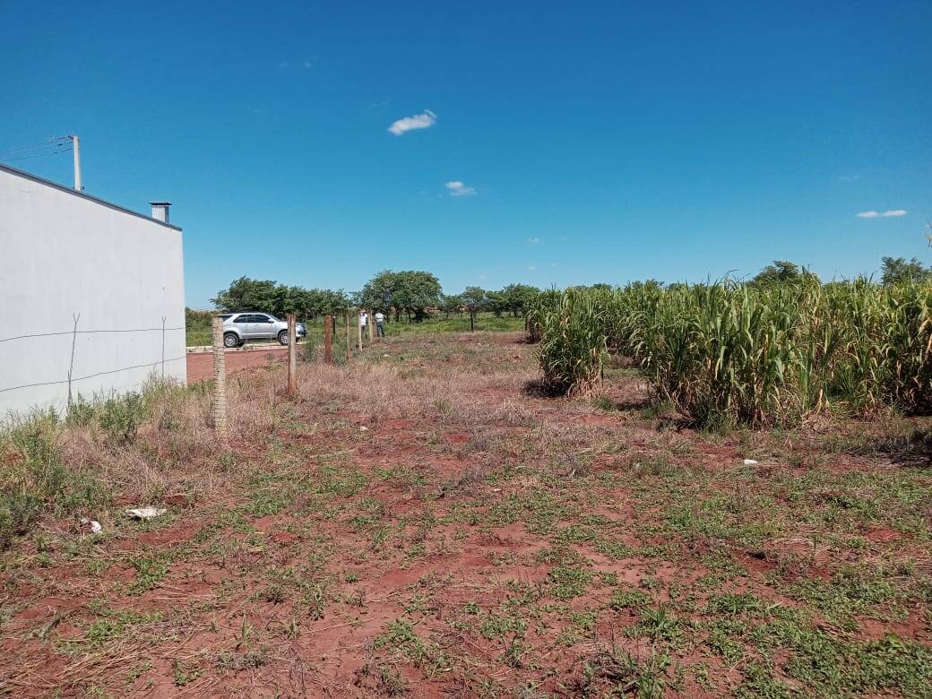 #5524 - Terreno para Venda em Sabáudia - PR