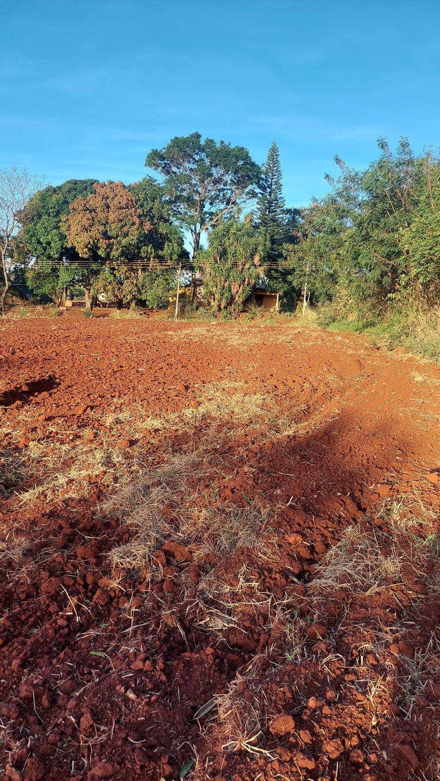 #5956 - Chácara para Venda em Astorga - PR
