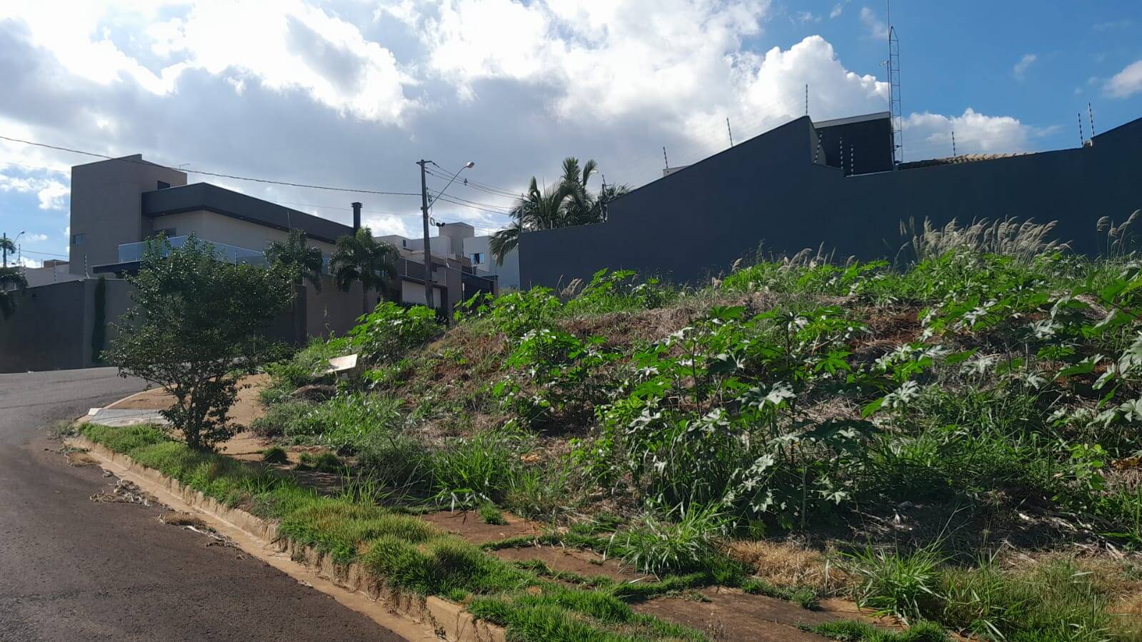 #6166 - Terreno para Venda em Arapongas - PR