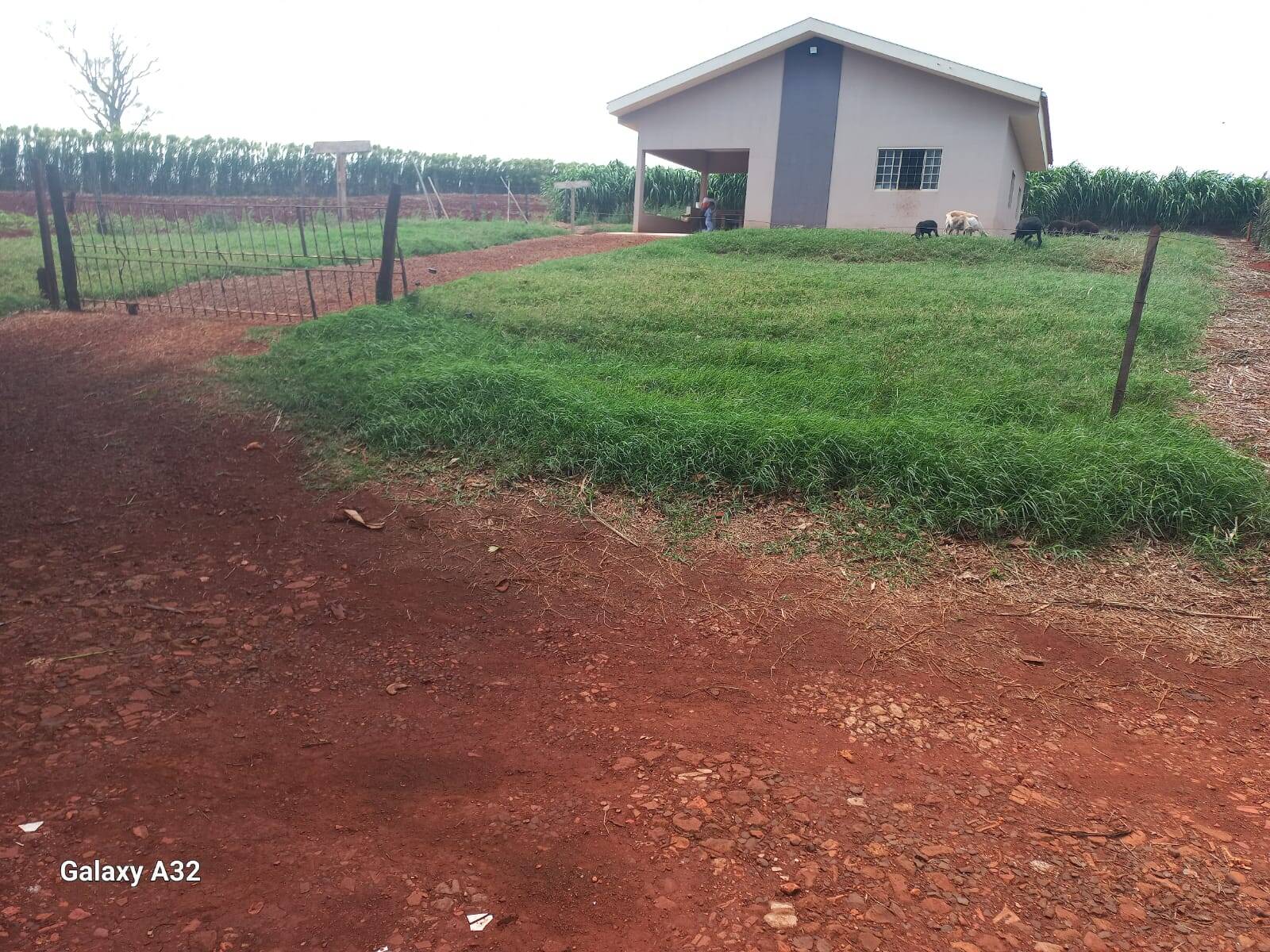 #6313 - Chácara para Venda em Arapongas - PR