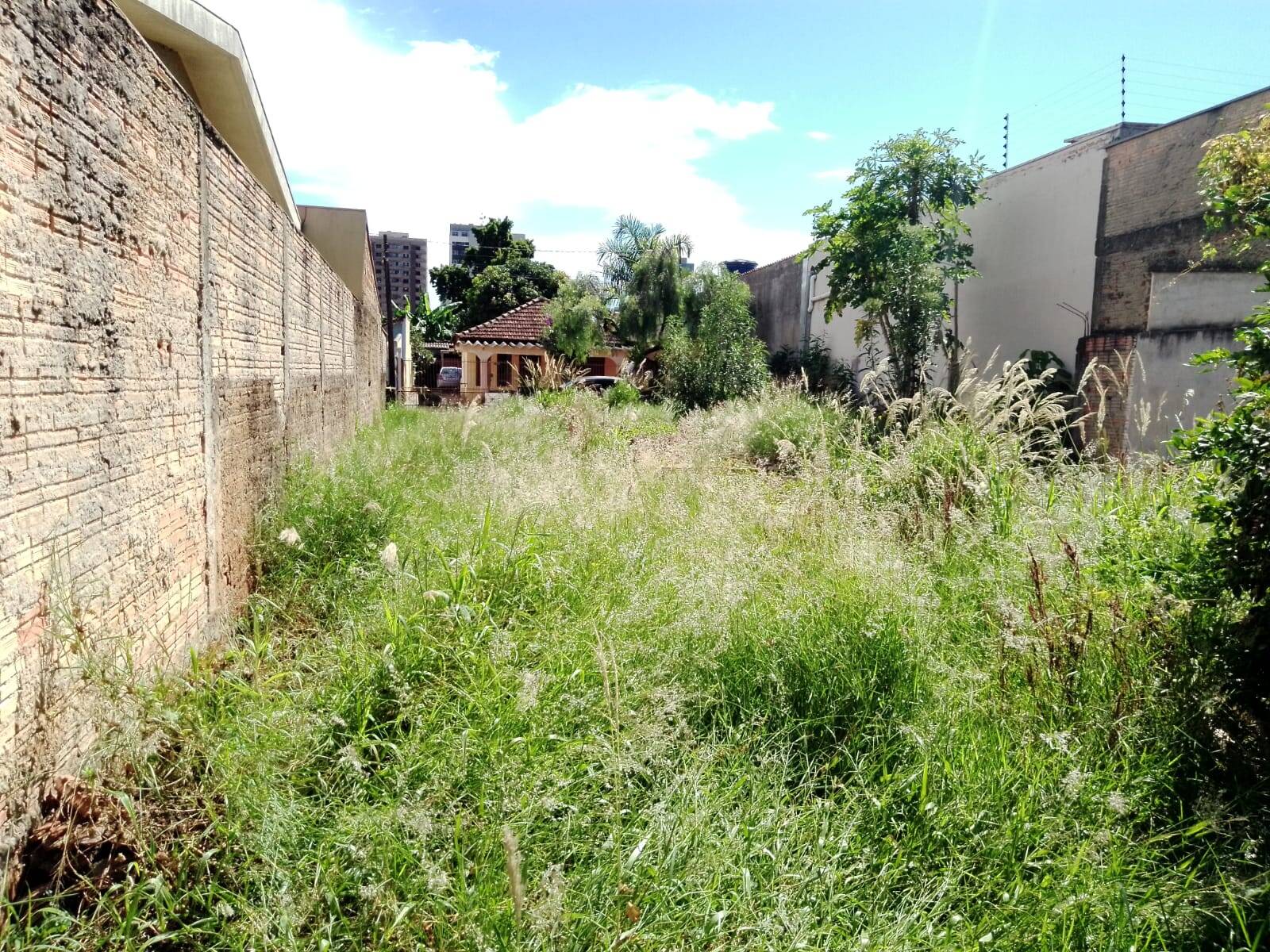 #6437 - Terreno para Venda em Arapongas - PR