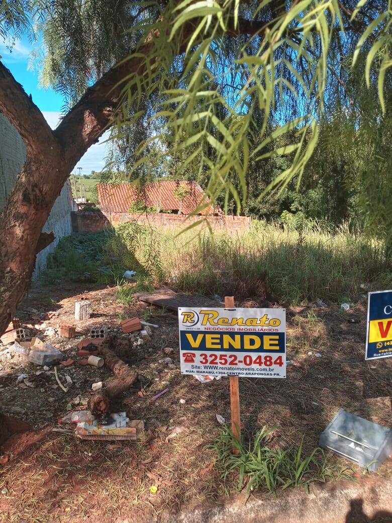 #6441 - Terreno para Venda em Arapongas - PR