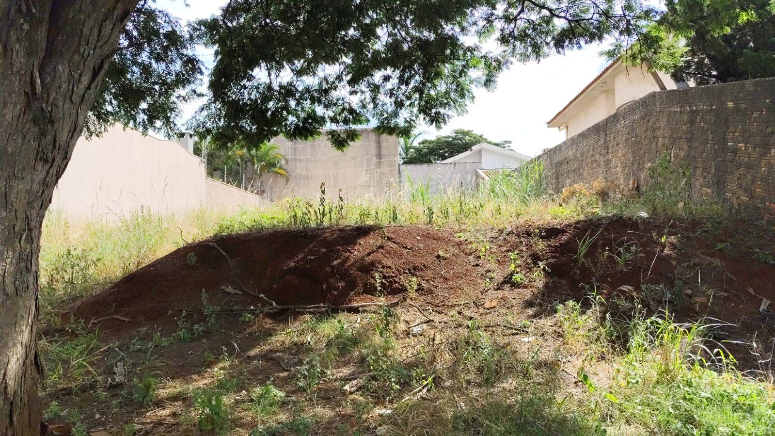#6481 - Terreno para Venda em Arapongas - PR