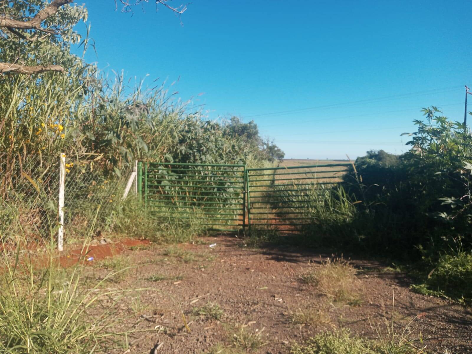 #6209 - Sítio para Venda em Apucarana - PR