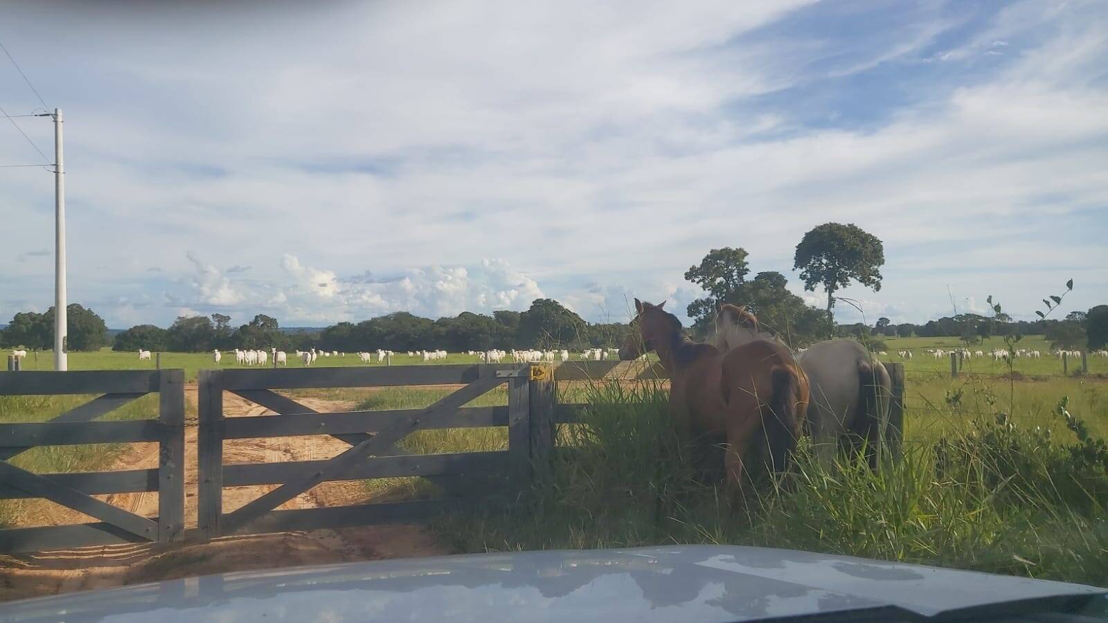 #6747 - Fazenda para Venda em Coxim - MS