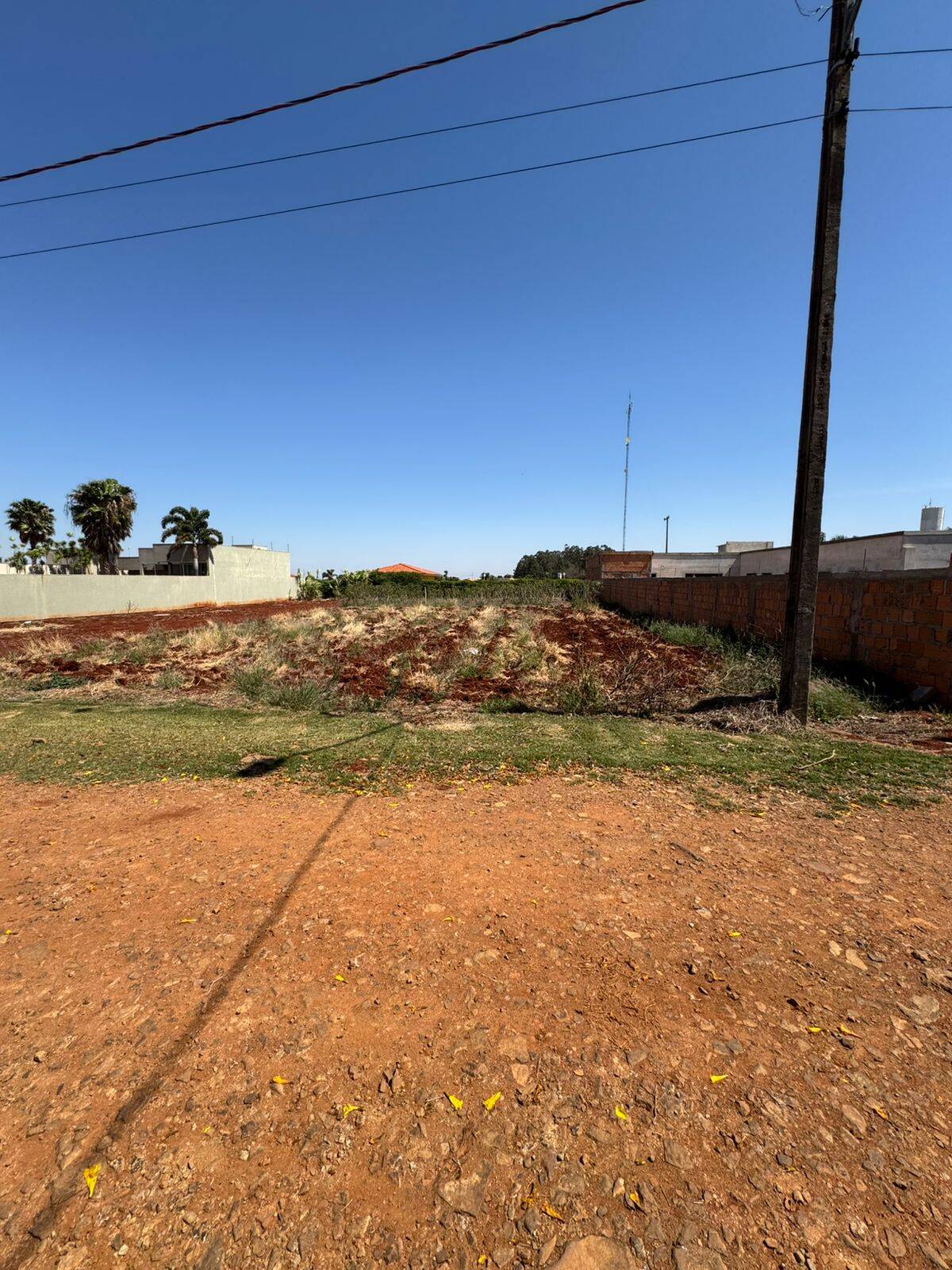 #6768 - Chácara para Venda em Arapongas - PR