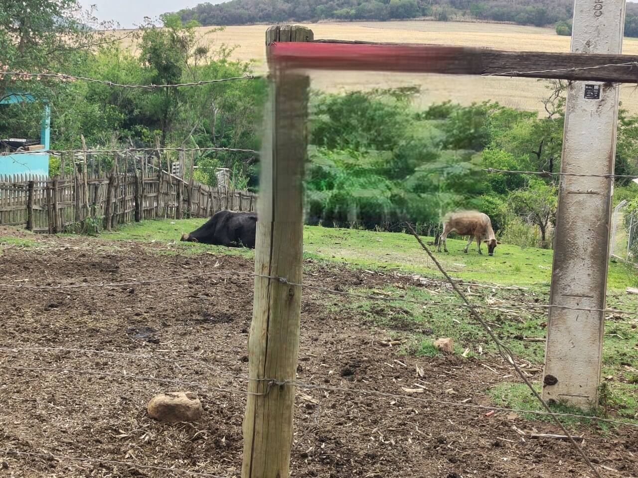 #6839 - Chácara para Venda em Arapongas - PR