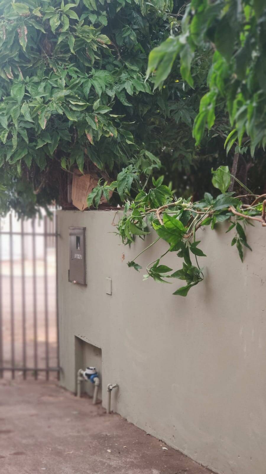 #4194 - Casa para Locação em Arapongas - PR