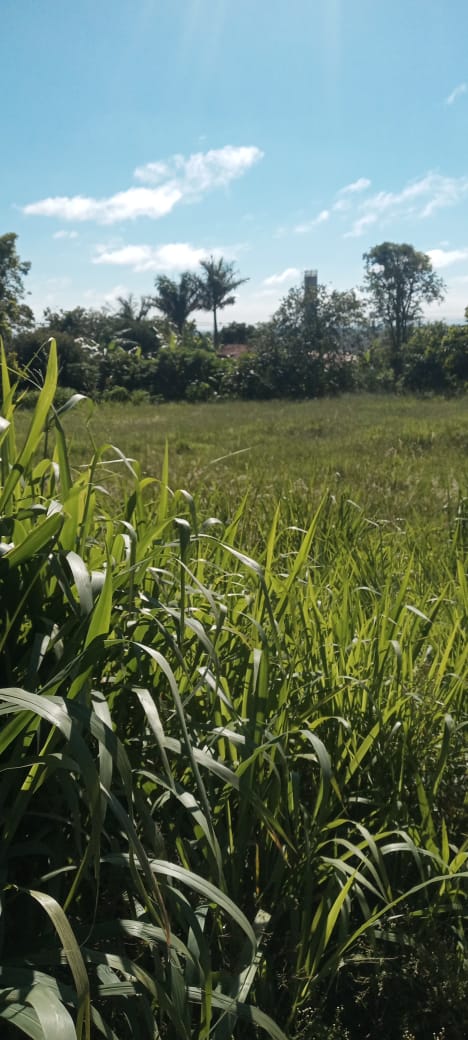 #6941 - Terreno para Venda em Arapongas - PR