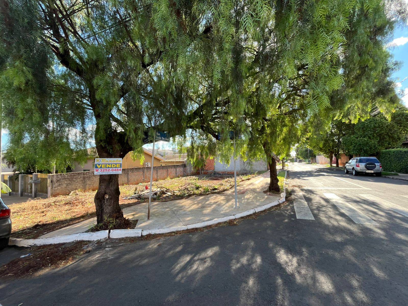 #6976 - Área para Venda em Arapongas - PR