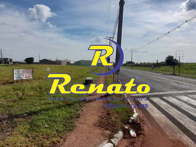 Terreno para Venda em Sabáudia - 4