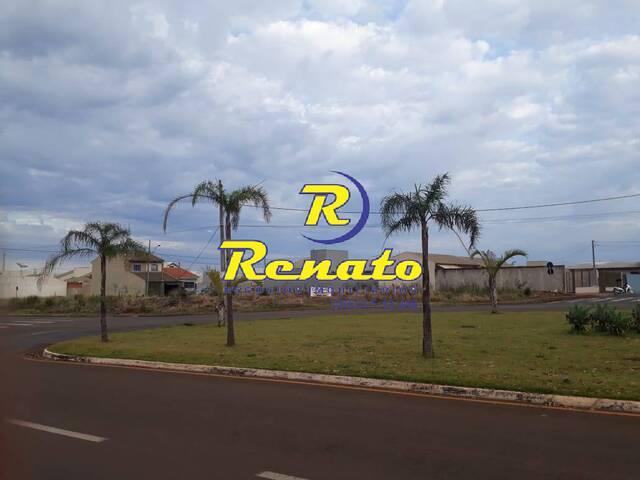 #4579 - Terreno para Venda em Arapongas - PR