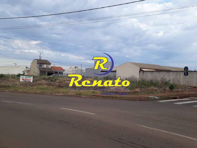 Terreno para Venda em Arapongas - 4