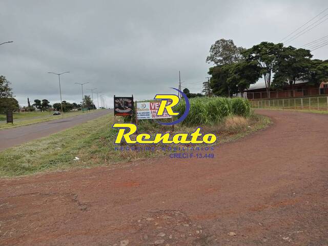 #5098 - Terreno para Venda em Arapongas - PR - 1