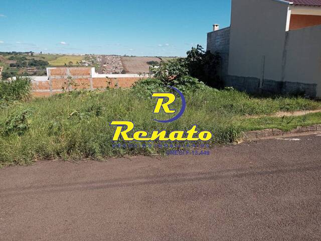 Terreno para Venda em Arapongas - 4