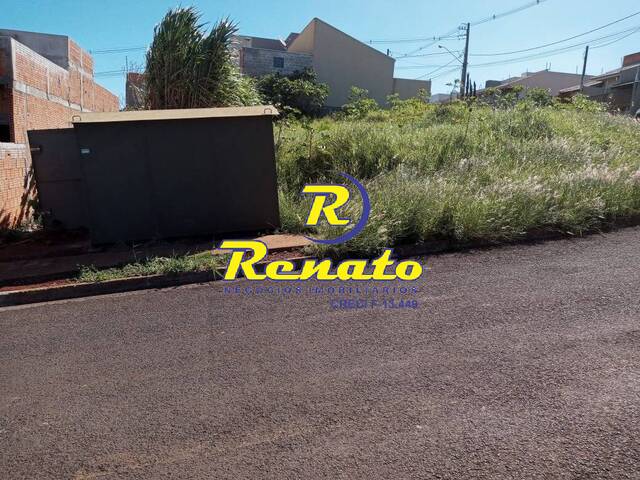 Terreno para Venda em Arapongas - 5