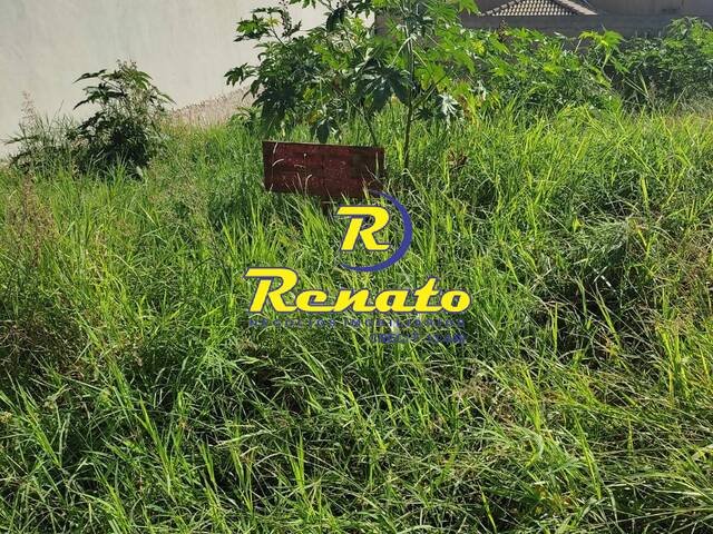 #5298 - Terreno para Venda em Arapongas - PR