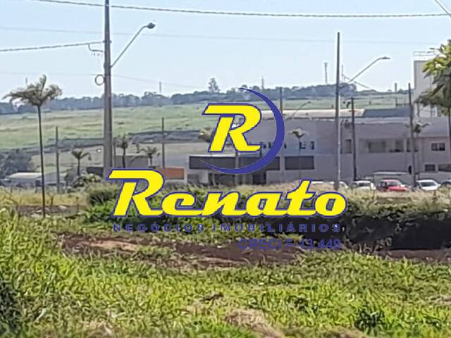 Terreno para Venda em Arapongas - 5