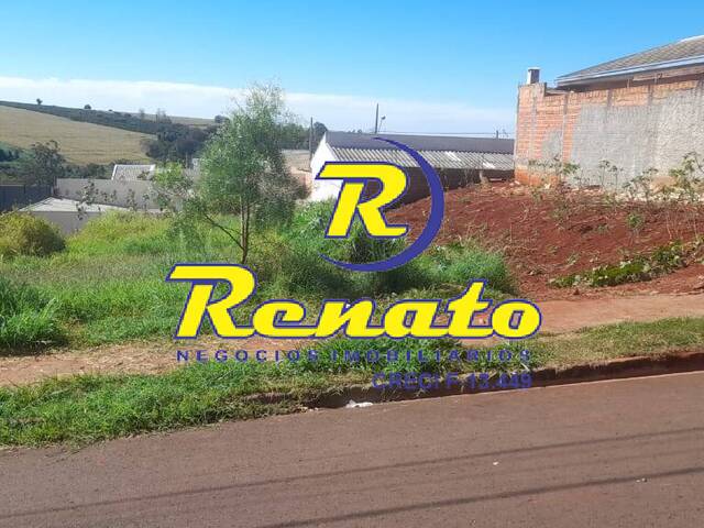 Terreno para Venda em Arapongas - 4