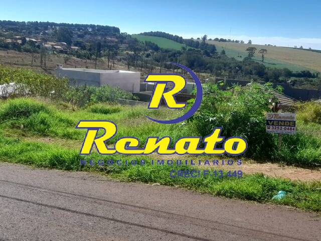 Terreno para Venda em Arapongas - 5
