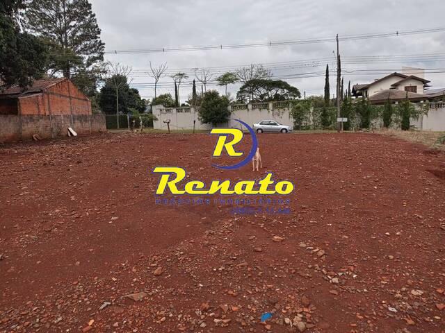 Terreno para Venda em Arapongas - 4