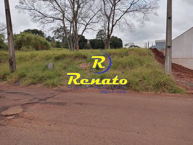 Terreno para Venda em Arapongas - 5