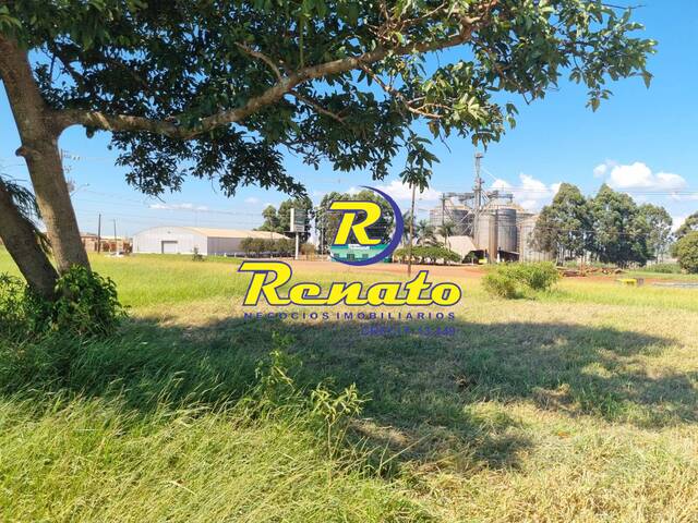 Terreno para Venda em Arapongas - 5