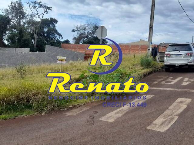 Terreno para Venda em Arapongas - 5