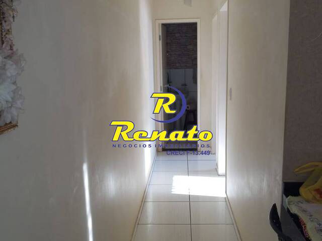 #5803 - Apartamento para Venda em Arapongas - PR - 3