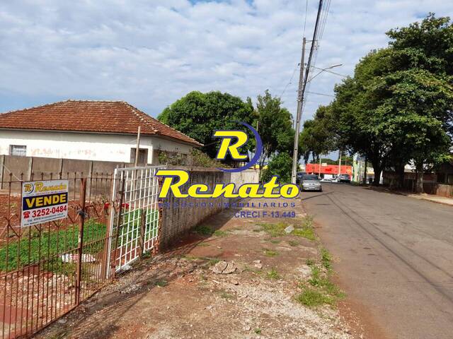 Terreno para Venda em Arapongas - 4