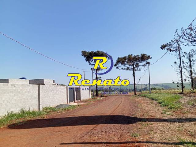 #6168 - Chácara para Venda em Arapongas - PR - 1