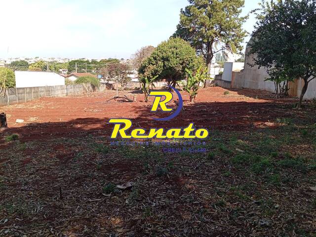 Terreno para Venda em Arapongas - 4