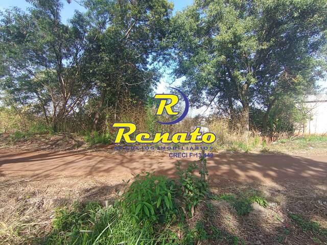 Terreno para Venda em Arapongas - 5