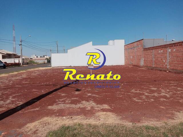 Terreno para Venda em Arapongas - 4