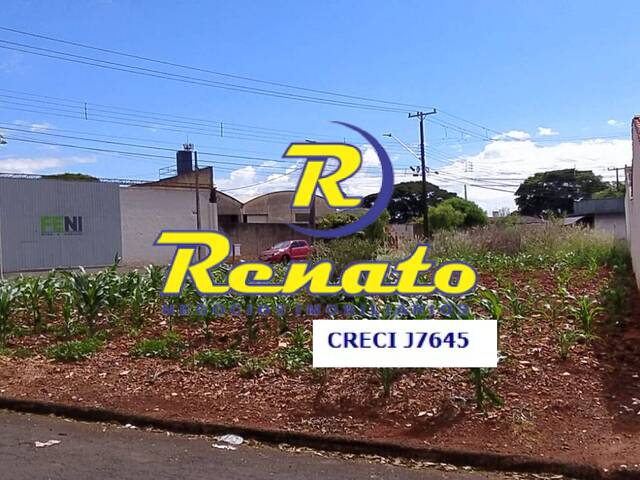 Terreno para Venda em Arapongas - 5