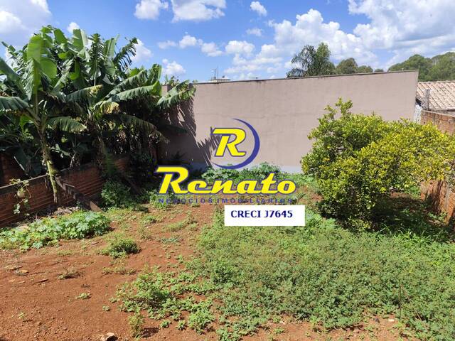 #6440 - Casa para Venda em Arapongas - PR - 2