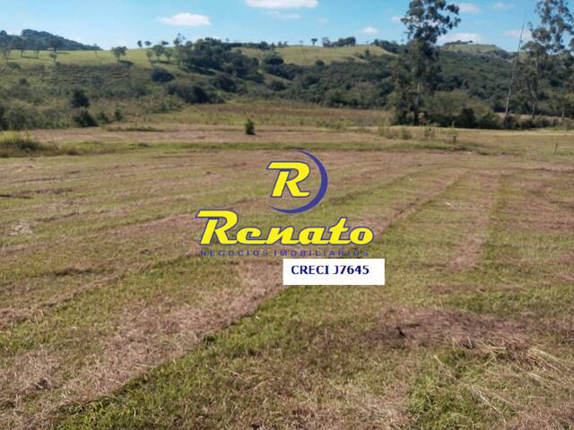 #6552 - Chácara para Venda em Arapongas - PR - 2