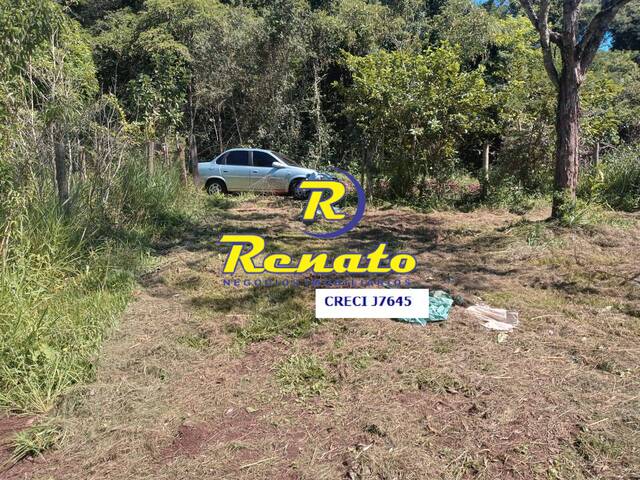 #6552 - Chácara para Venda em Arapongas - PR - 1