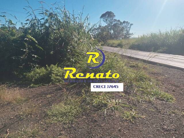 #6621 - Sítio para Venda em Apucarana - PR - 3