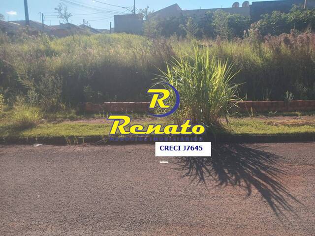 #6633 - Terreno para Venda em Arapongas - PR - 3