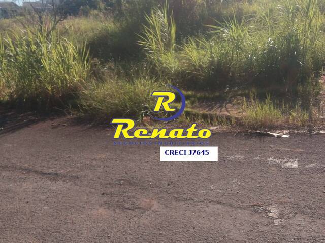 #6634 - Área para Venda em Arapongas - PR - 2