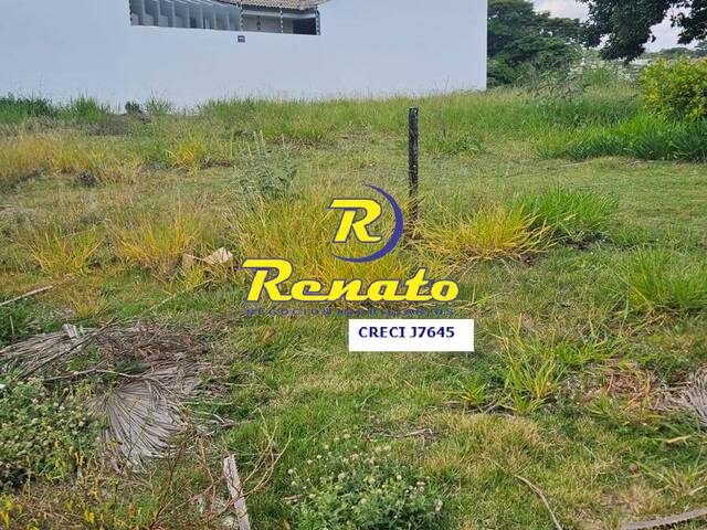 #6641 - Terreno para Venda em Arapongas - PR - 2