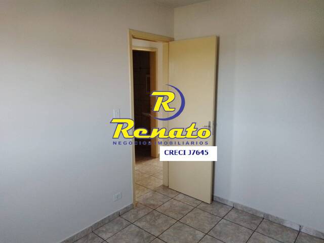 #6650 - Apartamento para Locação em Arapongas - PR - 3