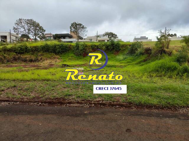 #6643 - Terreno para Venda em Arapongas - PR - 1
