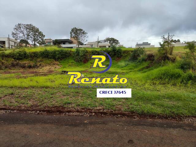 #6643 - Terreno para Venda em Arapongas - PR - 2