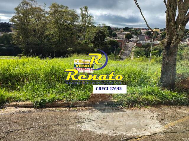 #6642 - Terreno para Venda em Arapongas - PR - 2