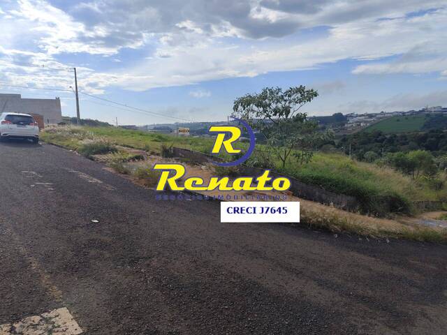 #6657 - Terreno para Venda em Arapongas - PR - 1